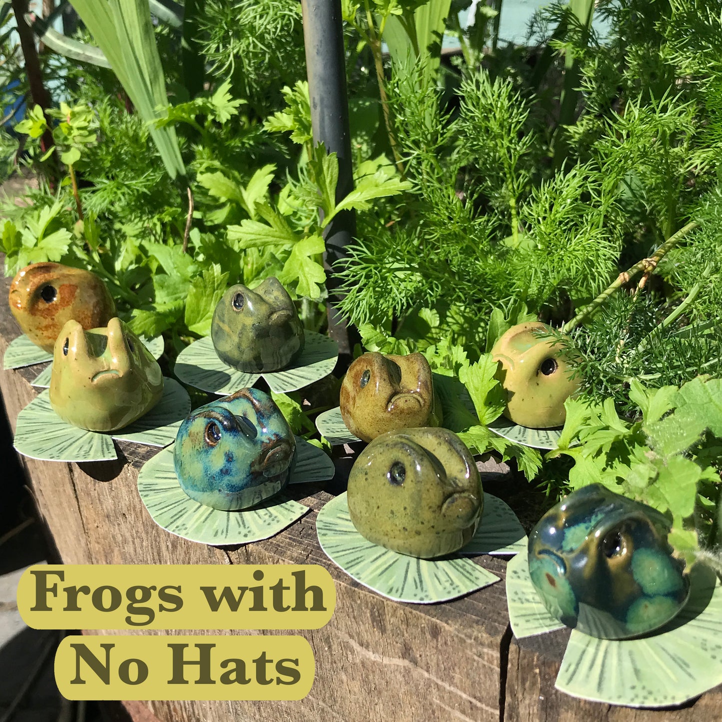 Grumpy Frogs