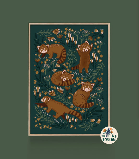 Red Panda Fine Art Print