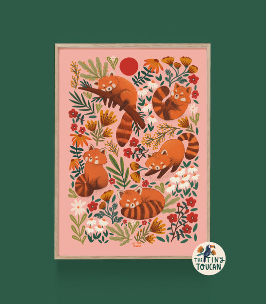Red Pandas in Pink Print