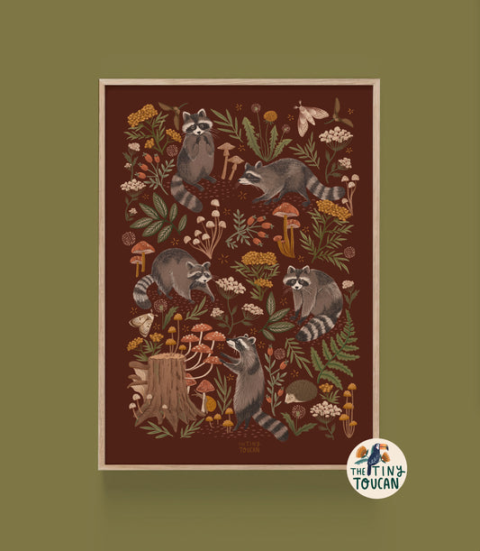 Raccoon A4 Print