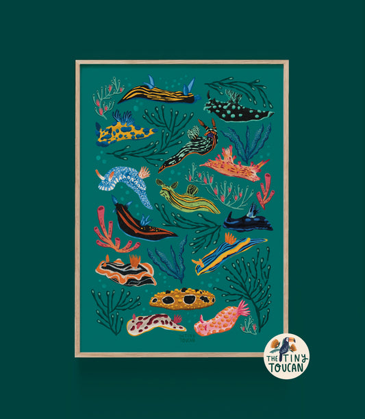 Nudibranch Sea Slug A4 Print