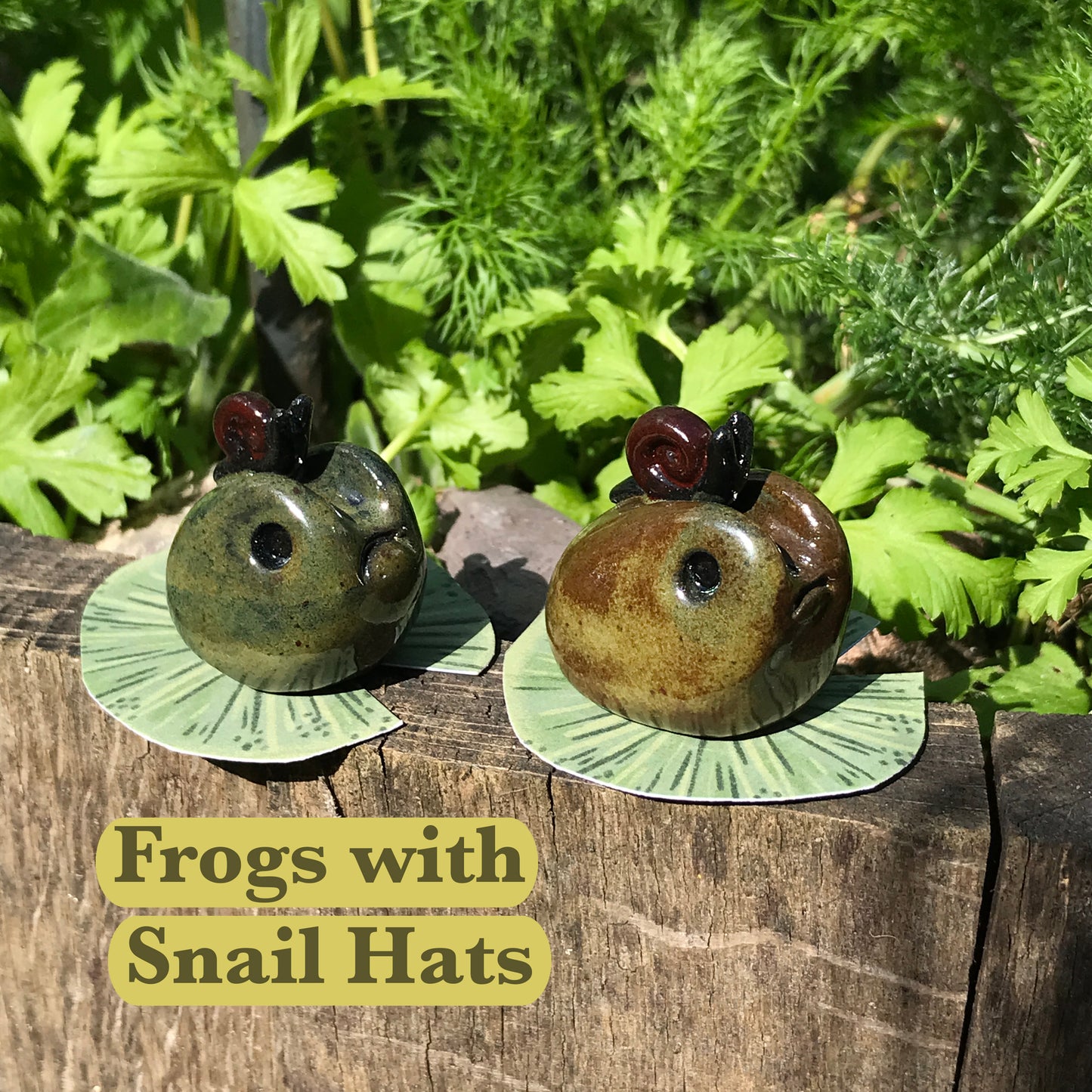 Grumpy Frogs
