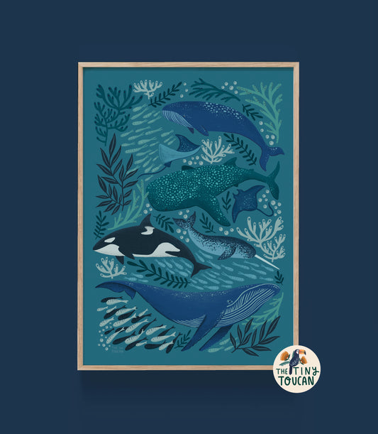 Whales Fine Art Print