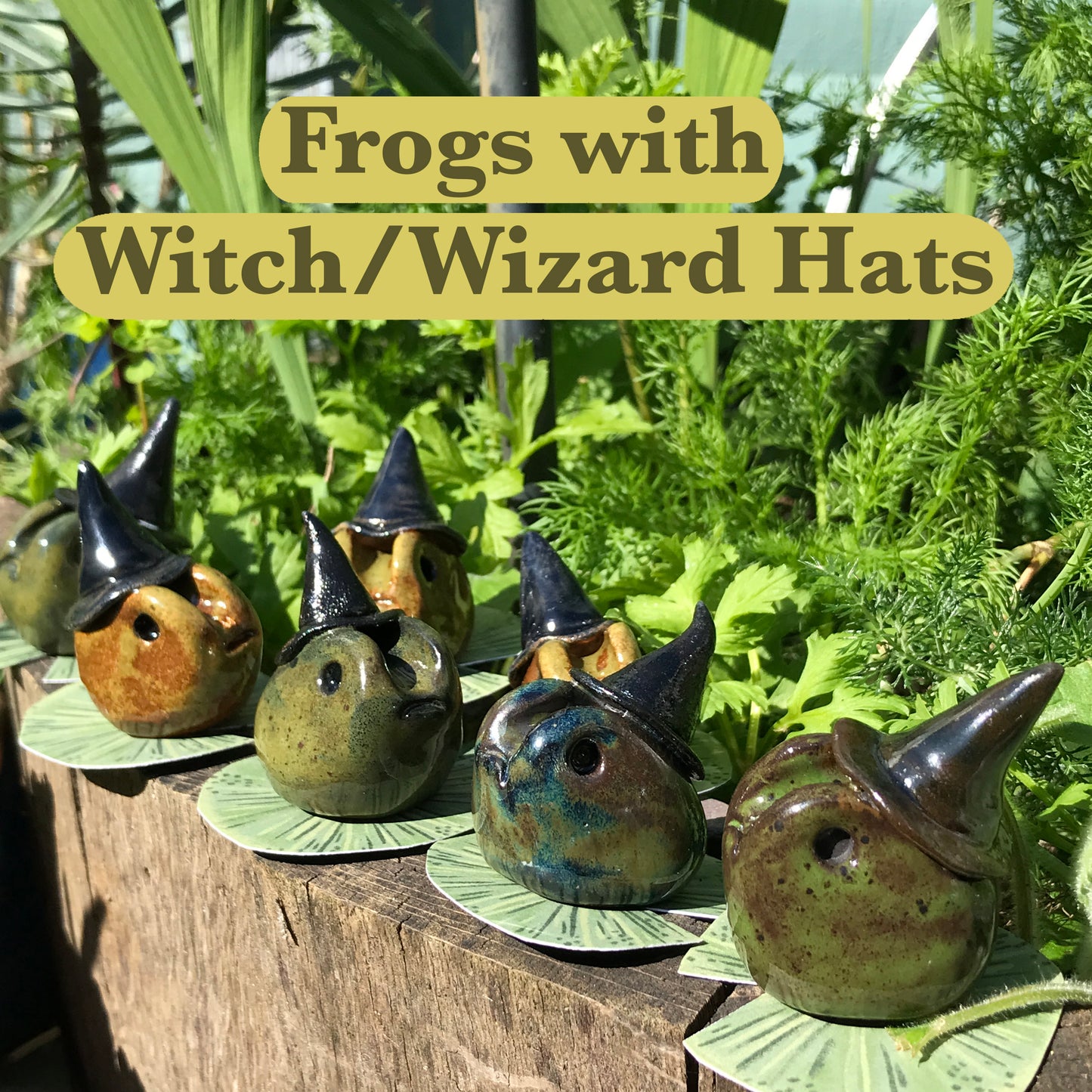 Grumpy Frogs