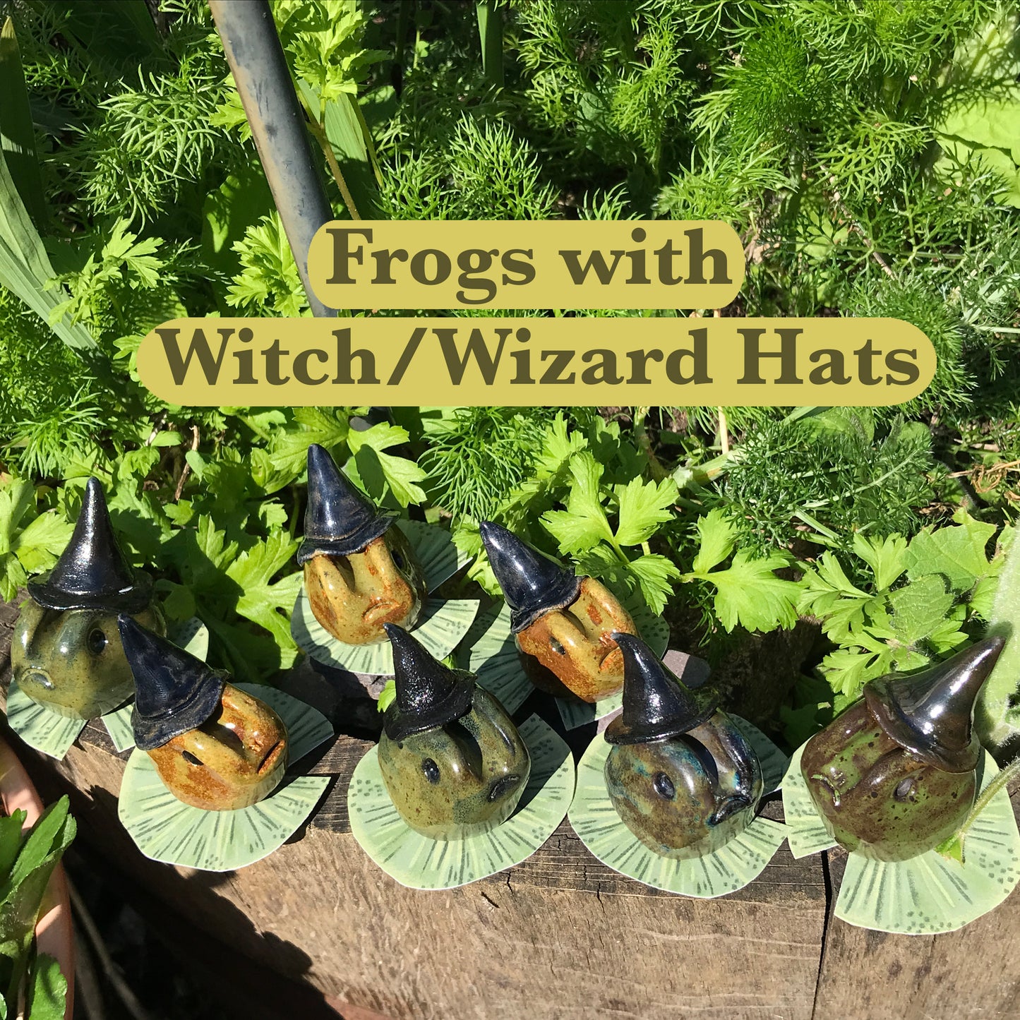 Grumpy Frogs